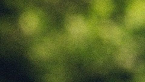 Los cambios de la naturaleza también afectan nuestro libido.