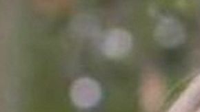 Telenovela "Amar a muerte" y "La Reina del Sur" se enfrentaron por última vez