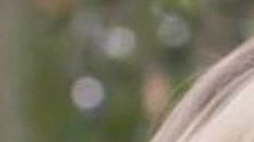 Telenovela "Amar a muerte" y "La Reina del Sur" se enfrentaron por última vez