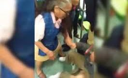La mujer no soportó el acosó y golpeó al hombre.