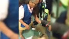 La mujer no soportó el acosó y golpeó al hombre.
