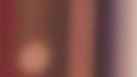 Angelique Boyer se puso el vestido al revés en Premios TVyNovelas 2019