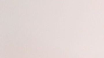 Ann Coulter no para sus criticas al presidente Trump por incumplir con su promesa del muro.