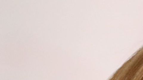 Ann Coulter no para sus criticas al presidente Trump por incumplir con su promesa del muro.