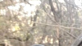 Emboscan a fiscal en el Estado de México.