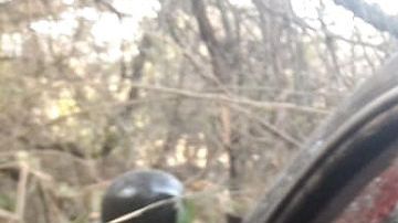 Emboscan a fiscal en el Estado de México.