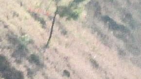 MATAN EN MÉXICO A DOS POLICÍAS Y CINCO CIVILES EN ATAQUE JUNTO A RANCHO DE UN NARCO