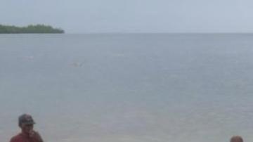 La ballena fue hallada en una playa de Filipinas.