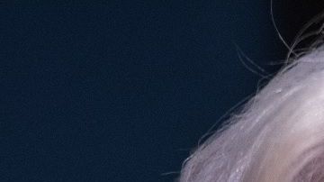 A Bárbara Bush no les gustaba el estilo del presidente Donald Trump.