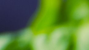 Dale un toque especial con esta hierba aromática.