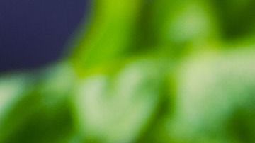 Dale un toque especial con esta hierba aromática.