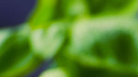 Dale un toque especial con esta hierba aromática.