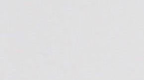 Becky G es de ascendencia mexicana.