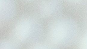 Una boda exprés que terminó muy mal.