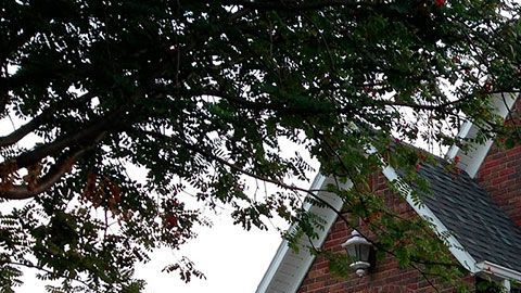 Podrías convertirte en todo un magnate de las bienes raíces con cualquiera de estos negocios.