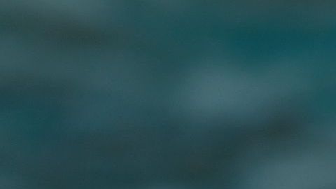 "Bird Box" ha generado controversia en las redes / Foto: Netflix