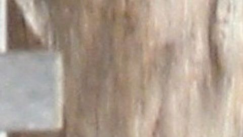 La cantante Pink en Tulum.