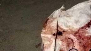 Se desconoce qué grupo delictivo cometió el crimen.