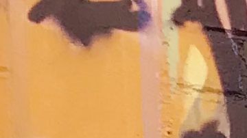 Ellas promueven la prevención del delito. De chongo, al centro, Lourdes Ruíz, la "Reina del Albur".