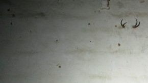 Caro Quintero entrevistado por Anabel Hernández en junio de 2016.