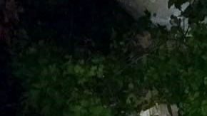 Un hombre vestido con ropa militar fue abatido en el exterior de la Funeraria Rodríguez, en el Centro de Miguel Alemán, Tamaulipas.