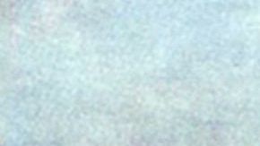 Mamut colombino es el nombre de la especie hallada en California, Texas y México.