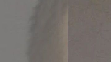 Anthony Comello, de 24 años, fue arrestado el sábado pasado.