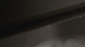 Este mes, Aries estará de fiesta.