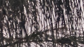 Una zona devastada por el huracán María en Puerto Rico.