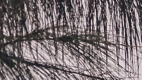 Una zona devastada por el huracán María en Puerto Rico.