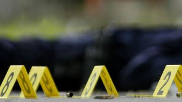 Una madre fue asesinada y su esposo e hijo de 1 año resultaron heridos en un tiroteo en el barrio de West Pullman.