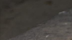 Violencia en México