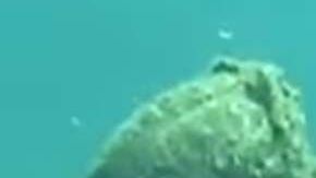 Este Cristo en la cruz es una atracción en Michigan.