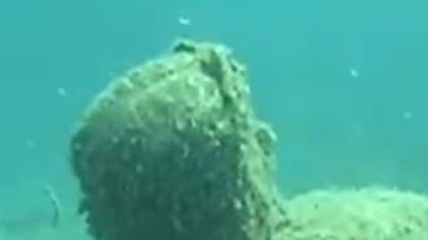 Este Cristo en la cruz es una atracción en Michigan.