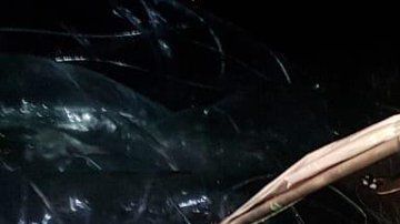 Así luce el artefacto de la empresa Loon que aterrizó en BCS.