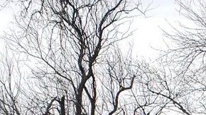 Las inundaciones han rodeado a varios poblados en Nebraska.