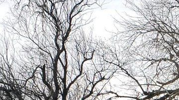 Las inundaciones han rodeado a varios poblados en Nebraska.