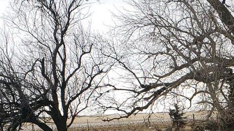 Las inundaciones han rodeado a varios poblados en Nebraska.