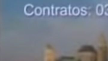 Delfín hasta el fin.