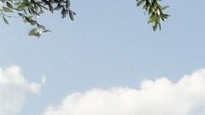 Las nuevas normas entrarán en vigencia el próximo primero de mayo.