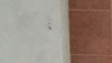 Kyle Gordy usa sexo tradicional e inseminación artificial