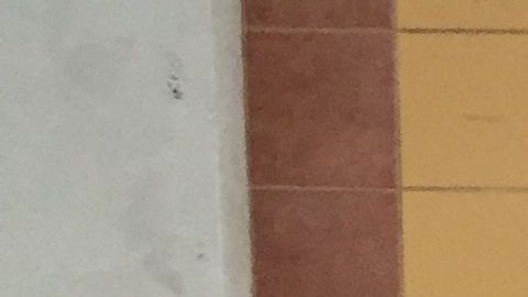 Kyle Gordy usa sexo tradicional e inseminación artificial