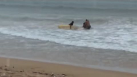 La surfista brasileña de 23 años, Luzimara Souza, murió electrocutada por un rayo cuando entrenaba en el mar