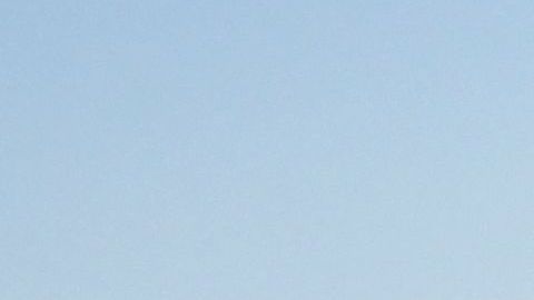 Flores silvestres cubren estas colinas de la cordillera de Tremblor en el Monumento Nacional de Carrizo Plain cerca de Taft, California