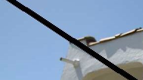 El proyecto de ley ahora aguarda votación del pleno de la legislatura estatal