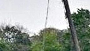 Esta semana se hallaron cuatro cuerpos más, homicidios atribuidos al CJNG.