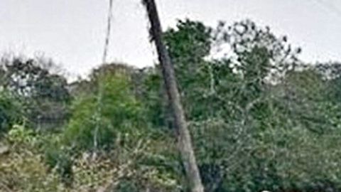 Esta semana se hallaron cuatro cuerpos más, homicidios atribuidos al CJNG.