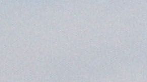 Una de las abogadas consiguió que sus clientes puedan permanecer en Estados Unidos mientras avanza su proceso.