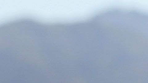 La familia fue detenida porque los vidrios de su auto estaban muy oscuros.