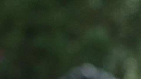 Reporte de Mueller le da un fuerte respiro a Trump y a su gobierno